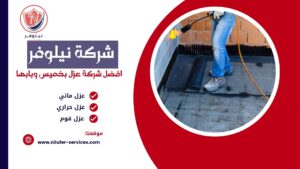 شركة عزل بابها